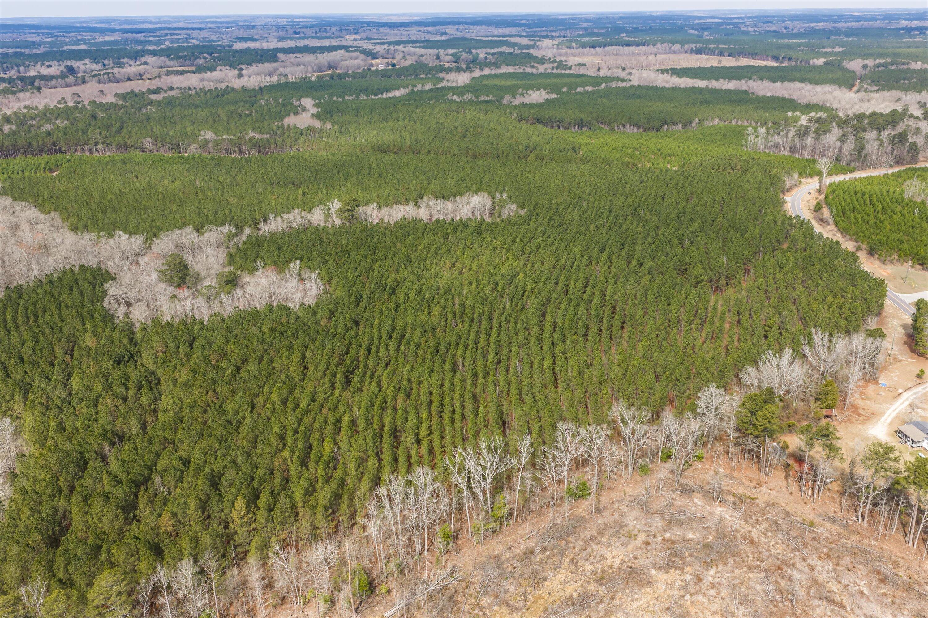 1398 Mauldin Road Mitchell, GA 30820 - Photo 26 of 37 17-DJI_20260302113410_0057_D-HDR