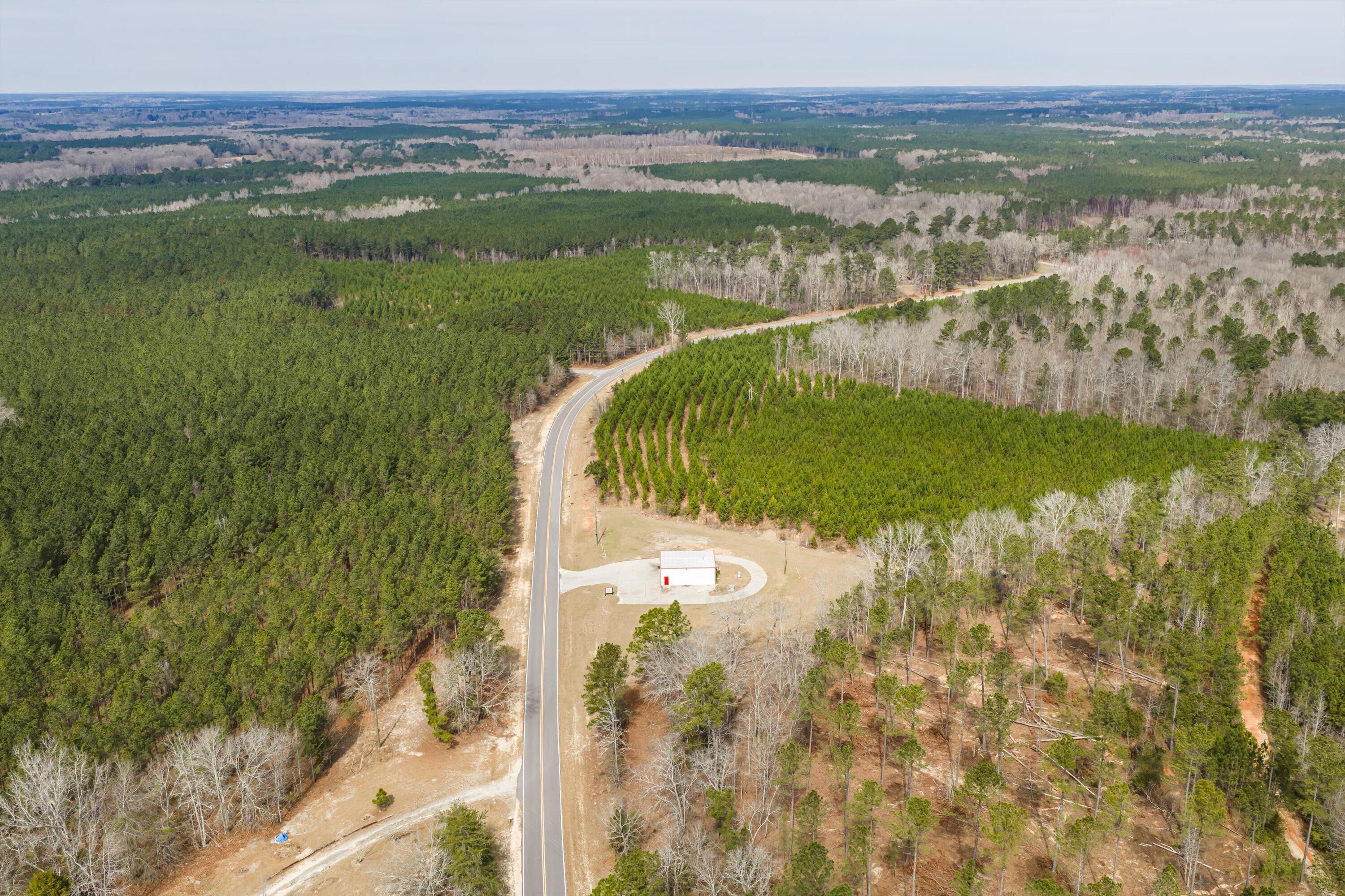 1398 Mauldin Road Mitchell, GA 30820 - Photo 27 of 37 18-DJI_20260302113428_0060_D-HDR