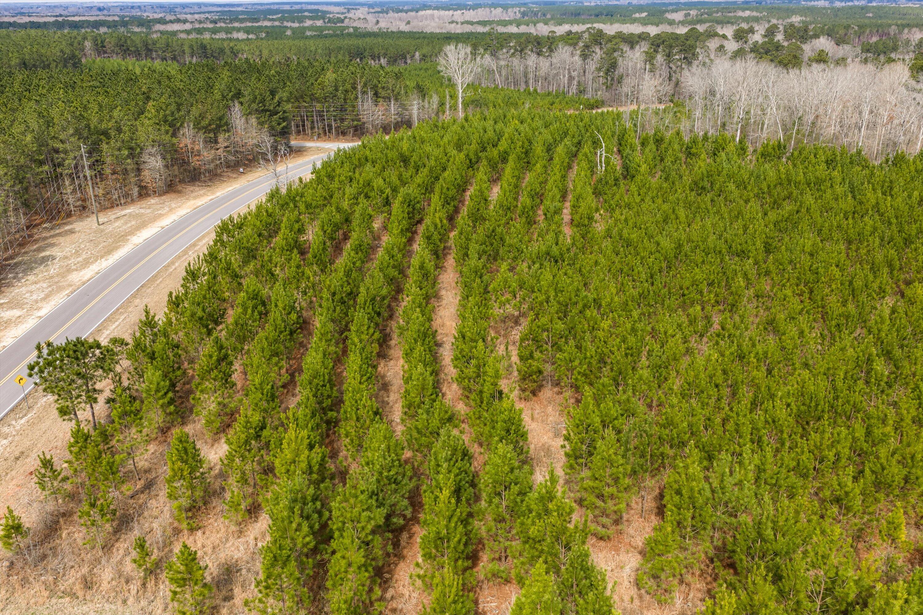 1398 Mauldin Road Mitchell, GA 30820 - Photo 28 of 37 19-DJI_20260302113447_0063_D-HDR