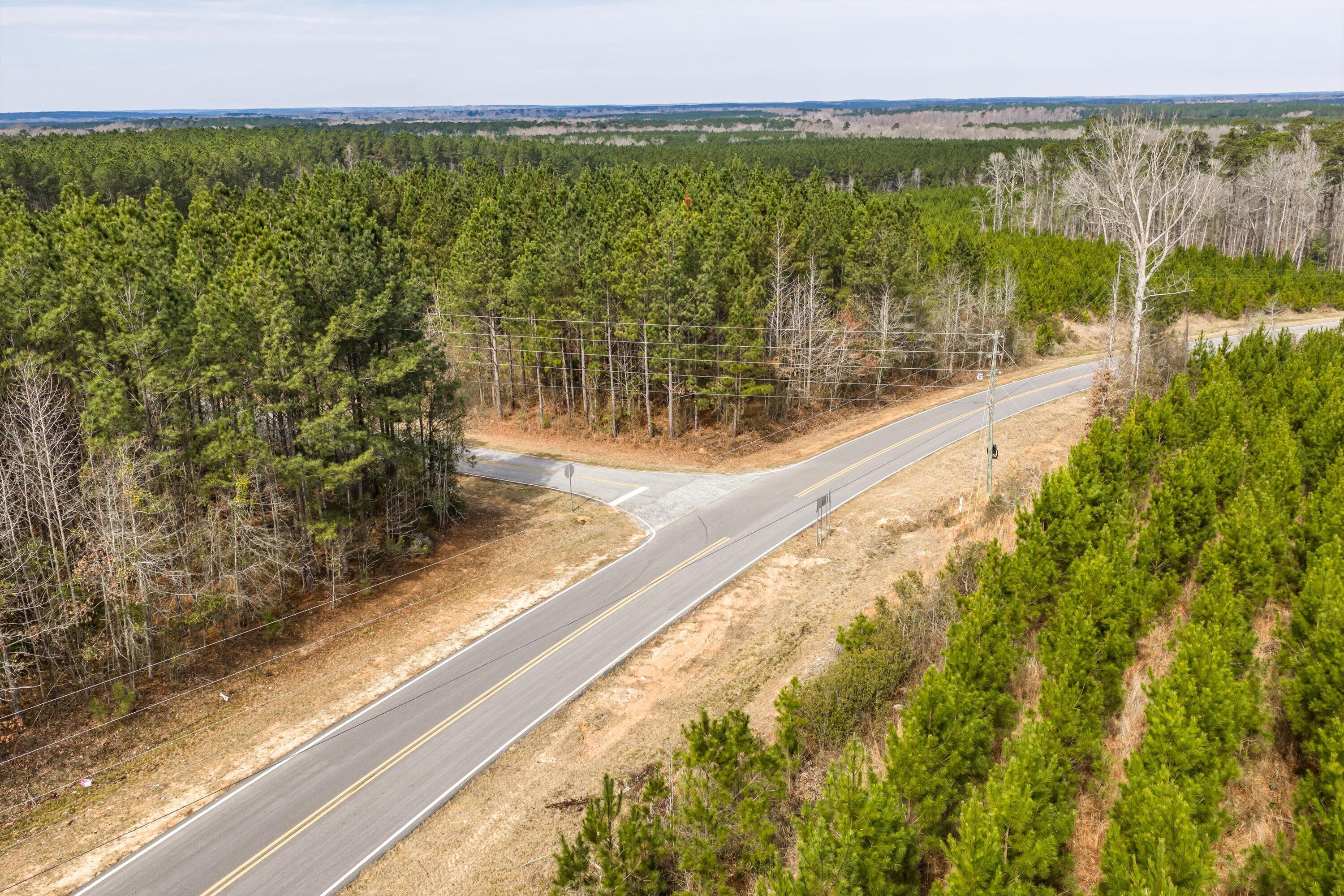 1398 Mauldin Road Mitchell, GA 30820 - Photo 29 of 37 20-DJI_20260302113502_0066_D-HDR