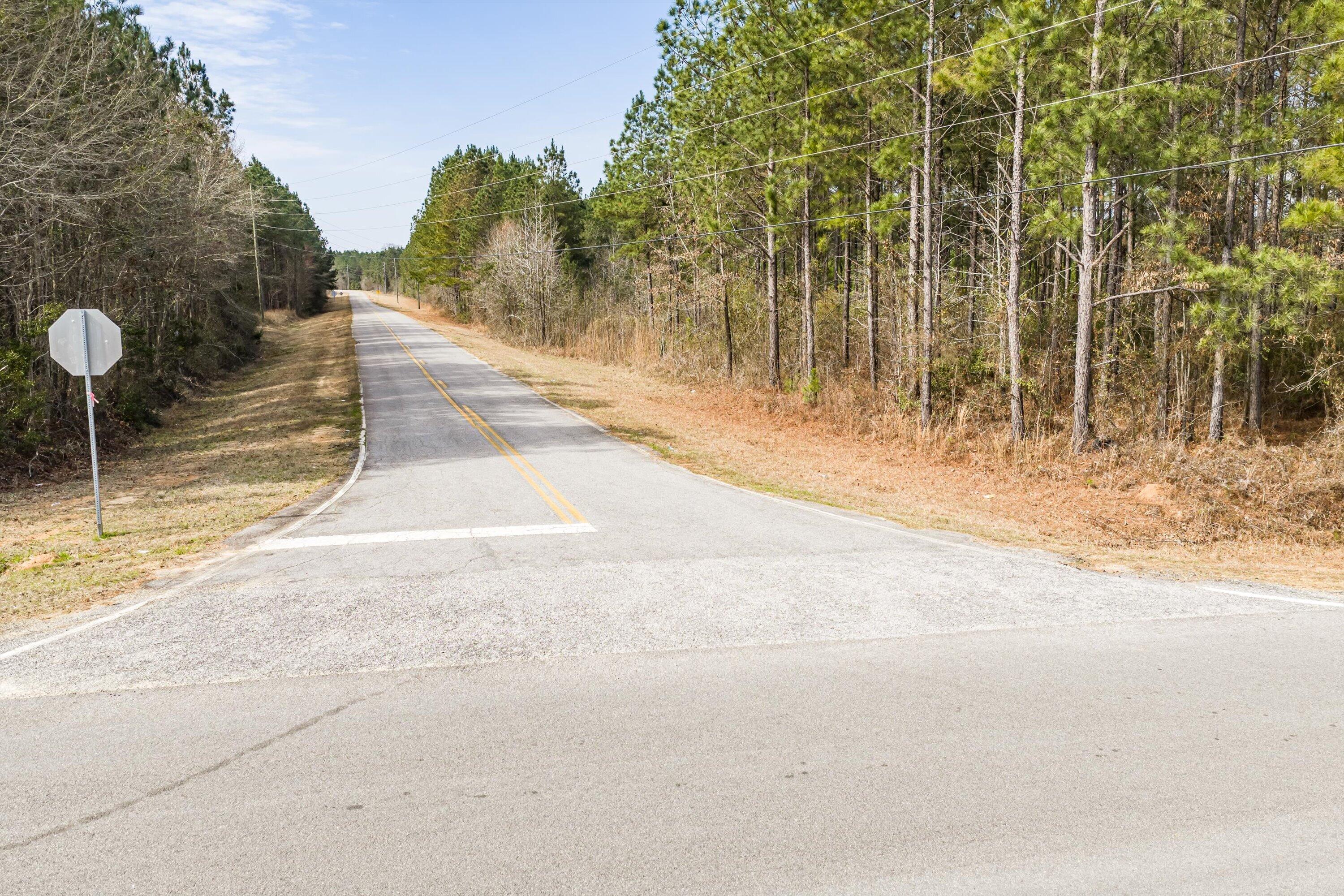 1398 Mauldin Road Mitchell, GA 30820 - Photo 30 of 37 21-DJI_20260302113521_0069_D-HDR