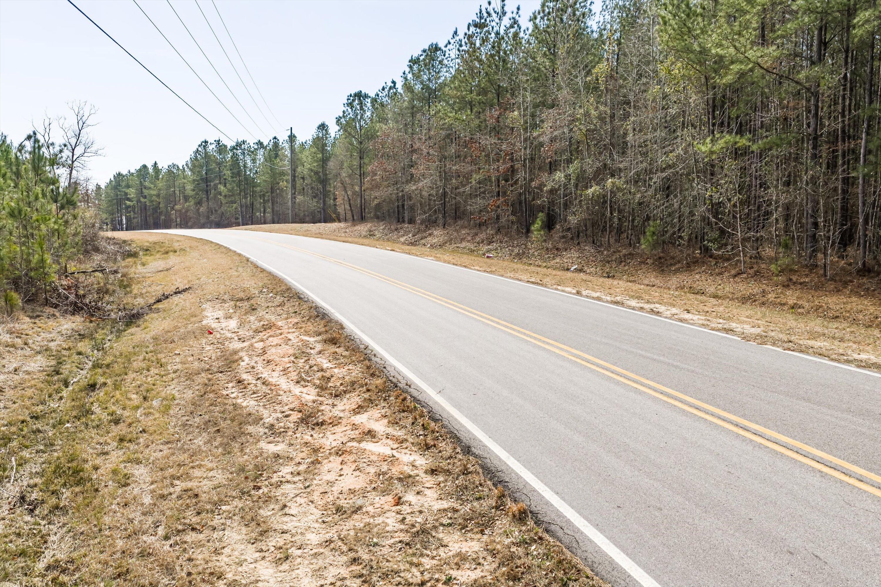 1398 Mauldin Road Mitchell, GA 30820 - Photo 31 of 37 22-DJI_20260302113530_0072_D-HDR