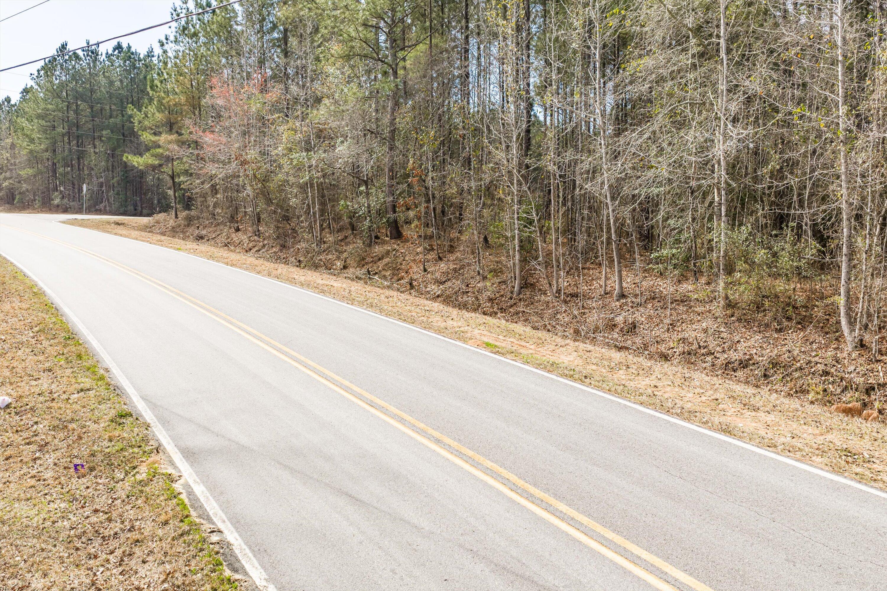 1398 Mauldin Road Mitchell, GA 30820 - Photo 33 of 37 24-DJI_20260302113557_0078_D-HDR