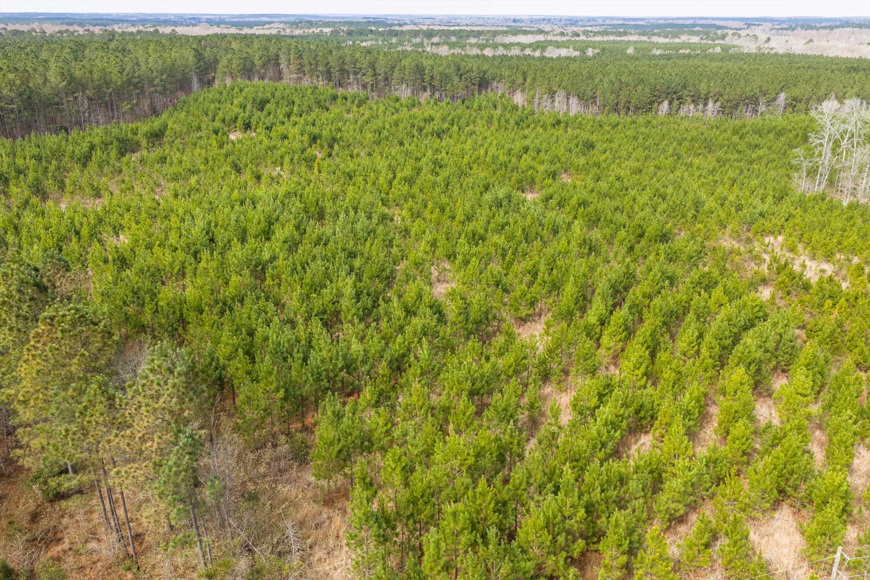 1398 Mauldin Road Mitchell, GA 30820 - Photo 34 of 37 25-DJI_20260302113605_0081_D-HDR