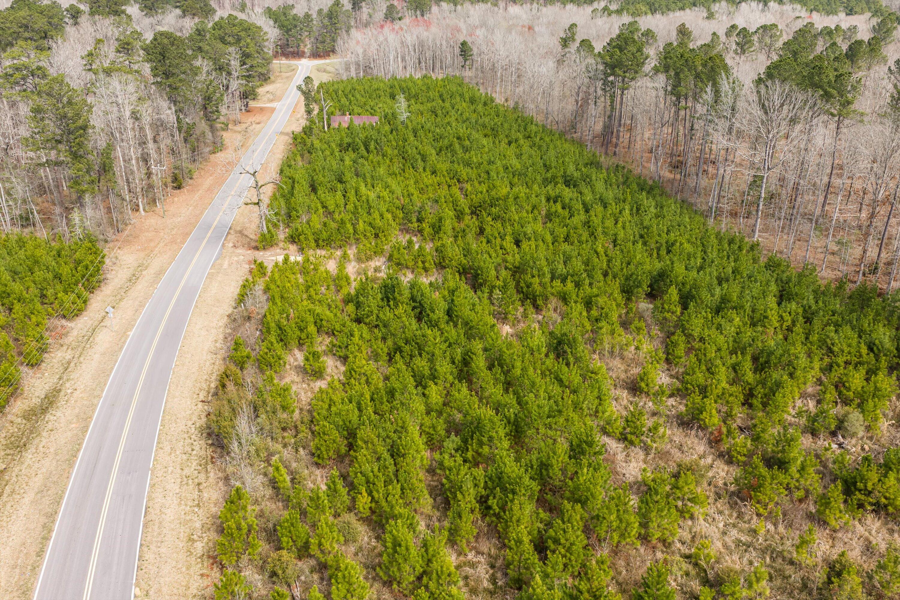 1398 Mauldin Road Mitchell, GA 30820 - Photo 35 of 37 26-DJI_20260302113613_0084_D-HDR