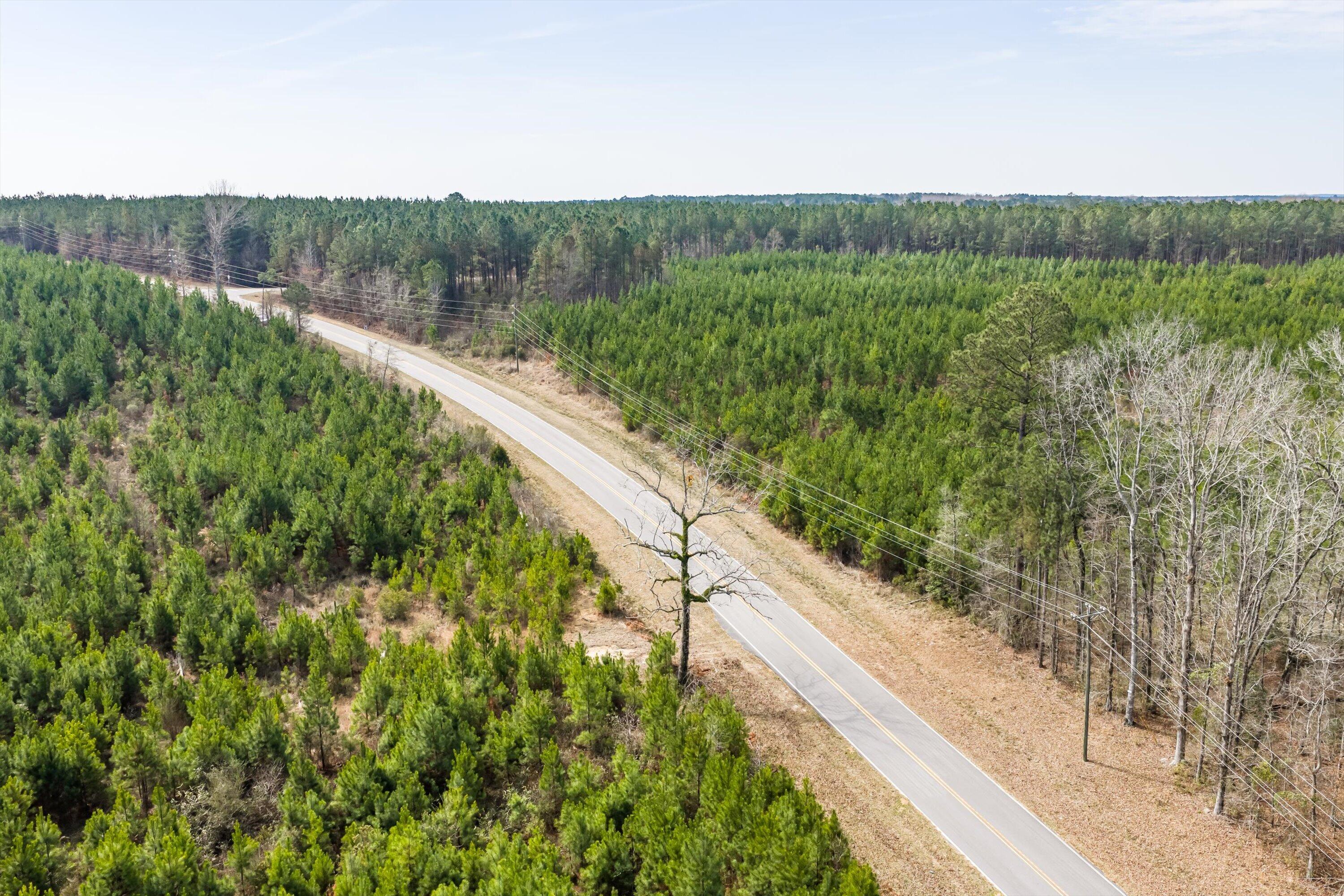 1398 Mauldin Road Mitchell, GA 30820 - Photo 36 of 37 27-DJI_20260302113635_0087_D-HDR