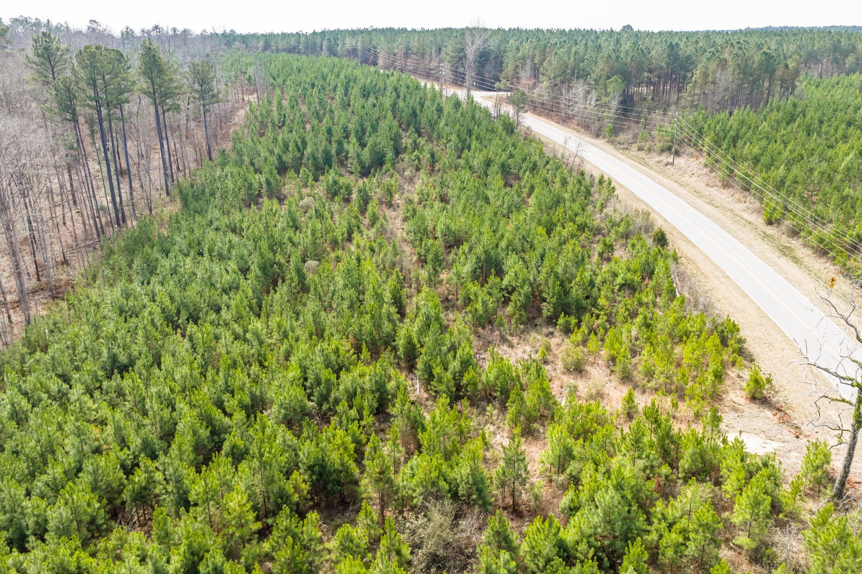 1398 Mauldin Road Mitchell, GA 30820 - Photo 37 of 37 28-DJI_20260302113641_0090_D-HDR