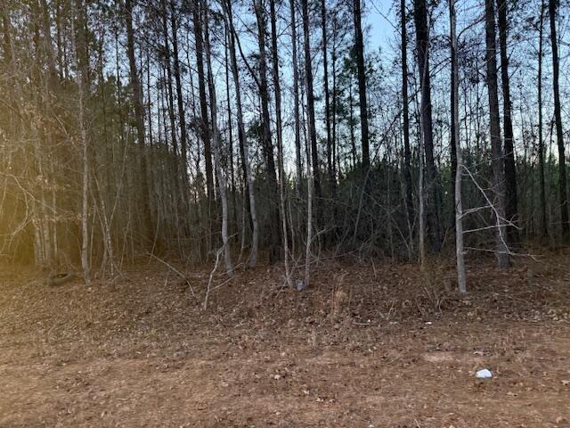 1398 Mauldin Road Mitchell, GA 30820 - Photo 4 of 37 IMG_6685