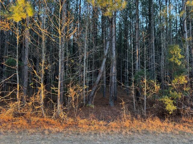 1398 Mauldin Road Mitchell, GA 30820 - Photo 5 of 37 IMG_6689