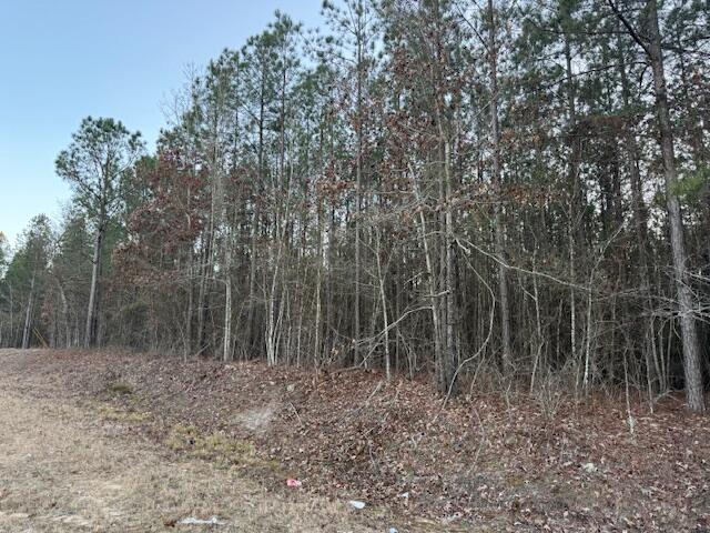 1398 Mauldin Road Mitchell, GA 30820 - Photo 8 of 37 IMG_6695