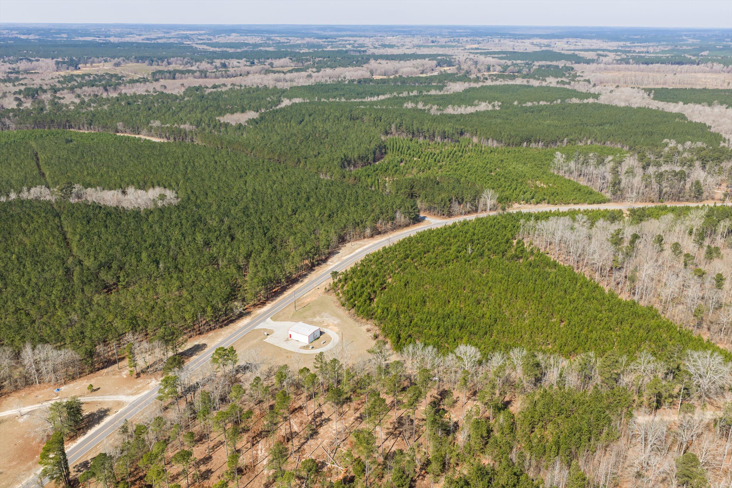 1398 Mauldin Road Mitchell, GA 30820 - Photo 10 of 37 01-DJI_20260302111942_0001_D-HDR