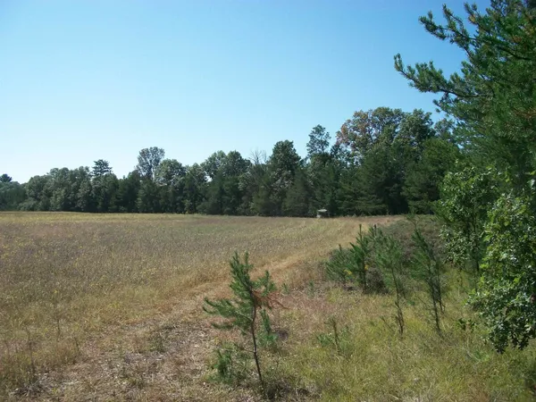 $229,900 | 38-acres 18th Street, Necedah, WI 54646