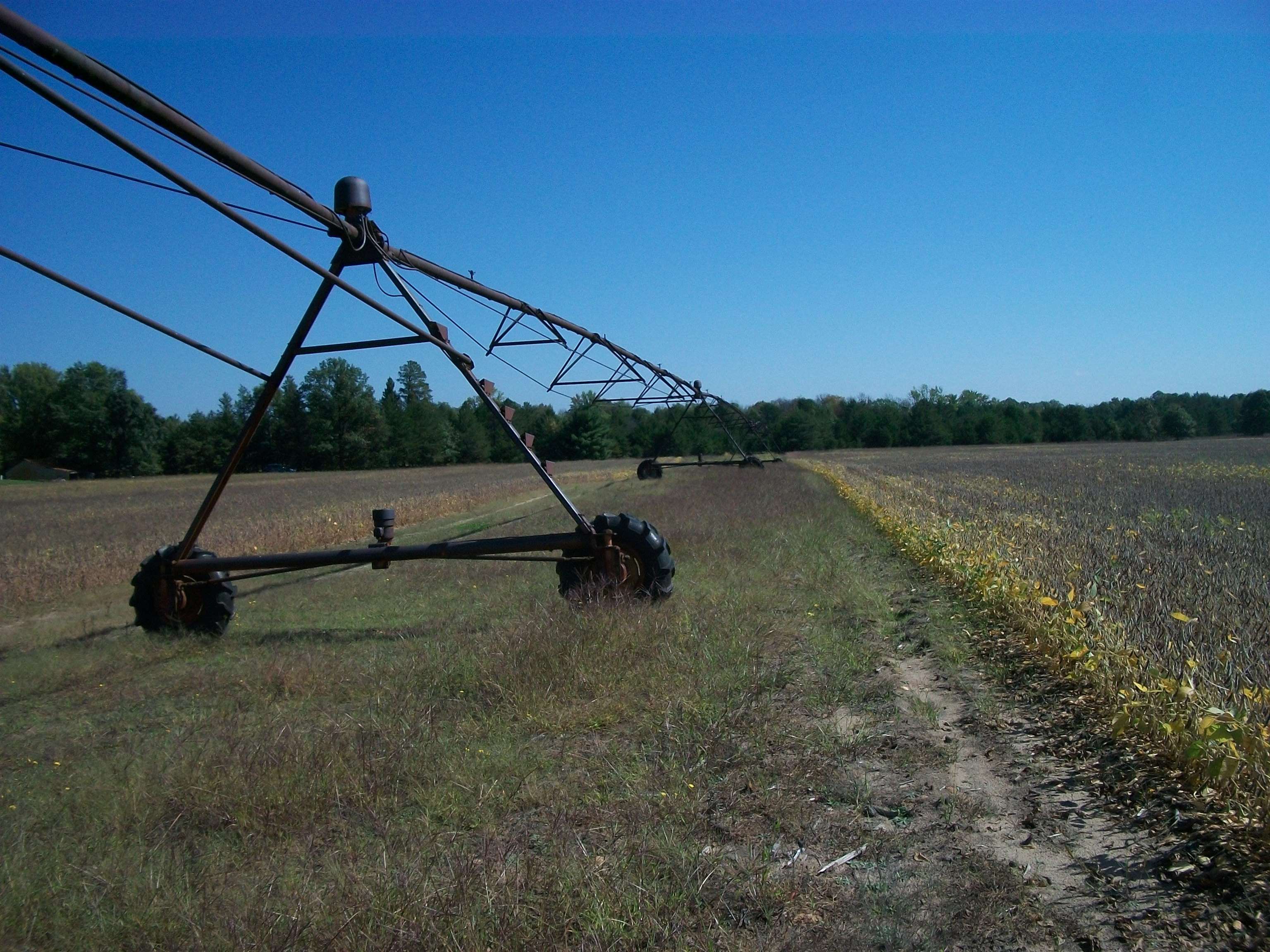 38-acres 18th Street Necedah, WI 54646 - Photo 12 of 22