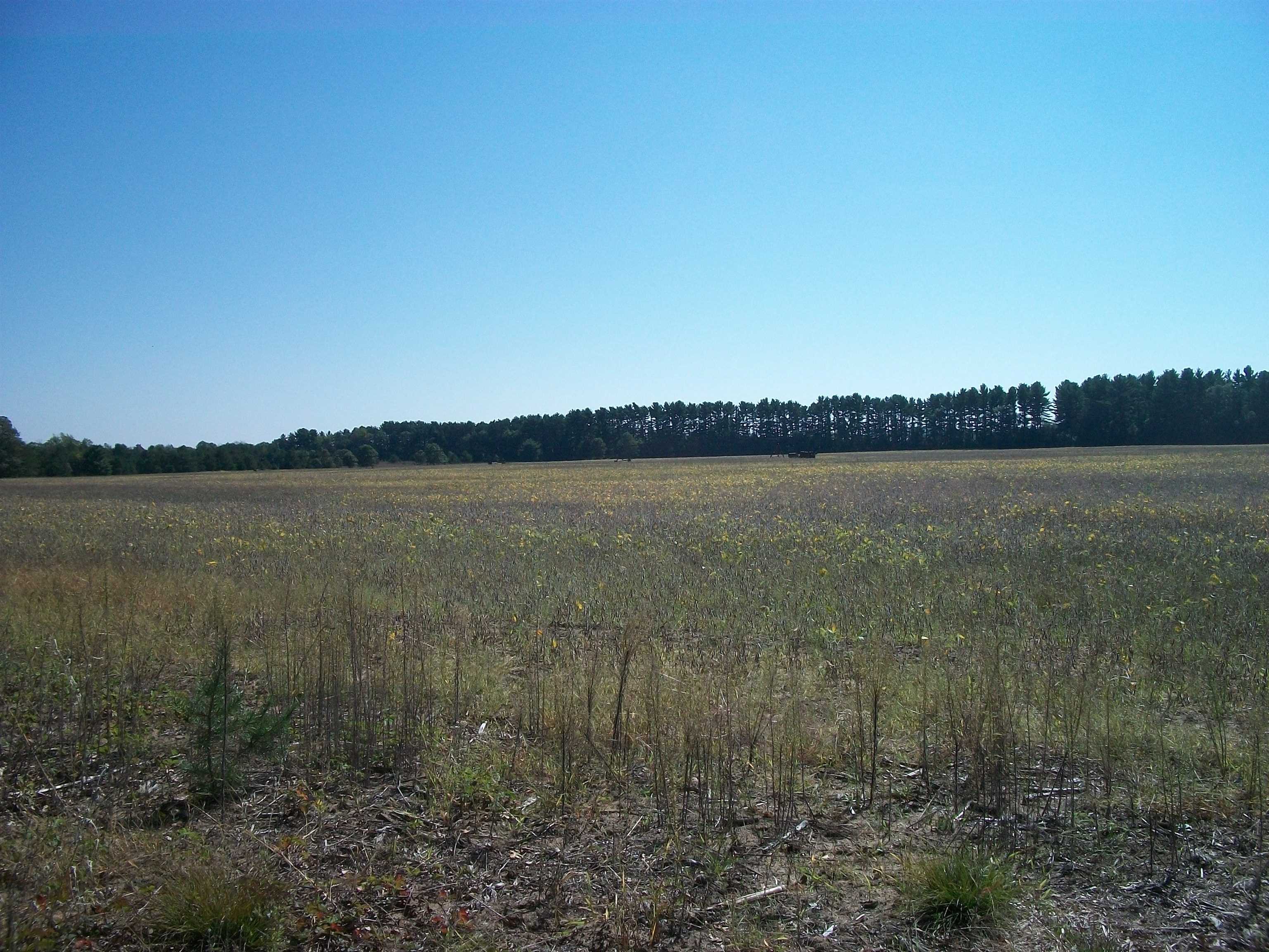 38-acres 18th Street Necedah, WI 54646 - Photo 13 of 22