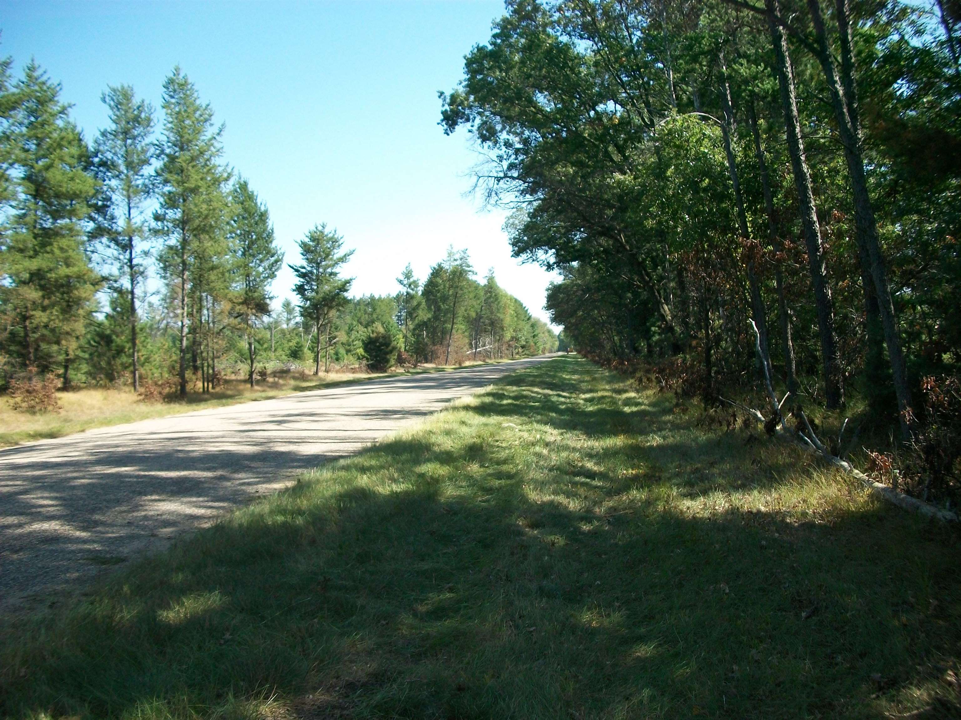 38-acres 18th Street Necedah, WI 54646 - Photo 14 of 22
