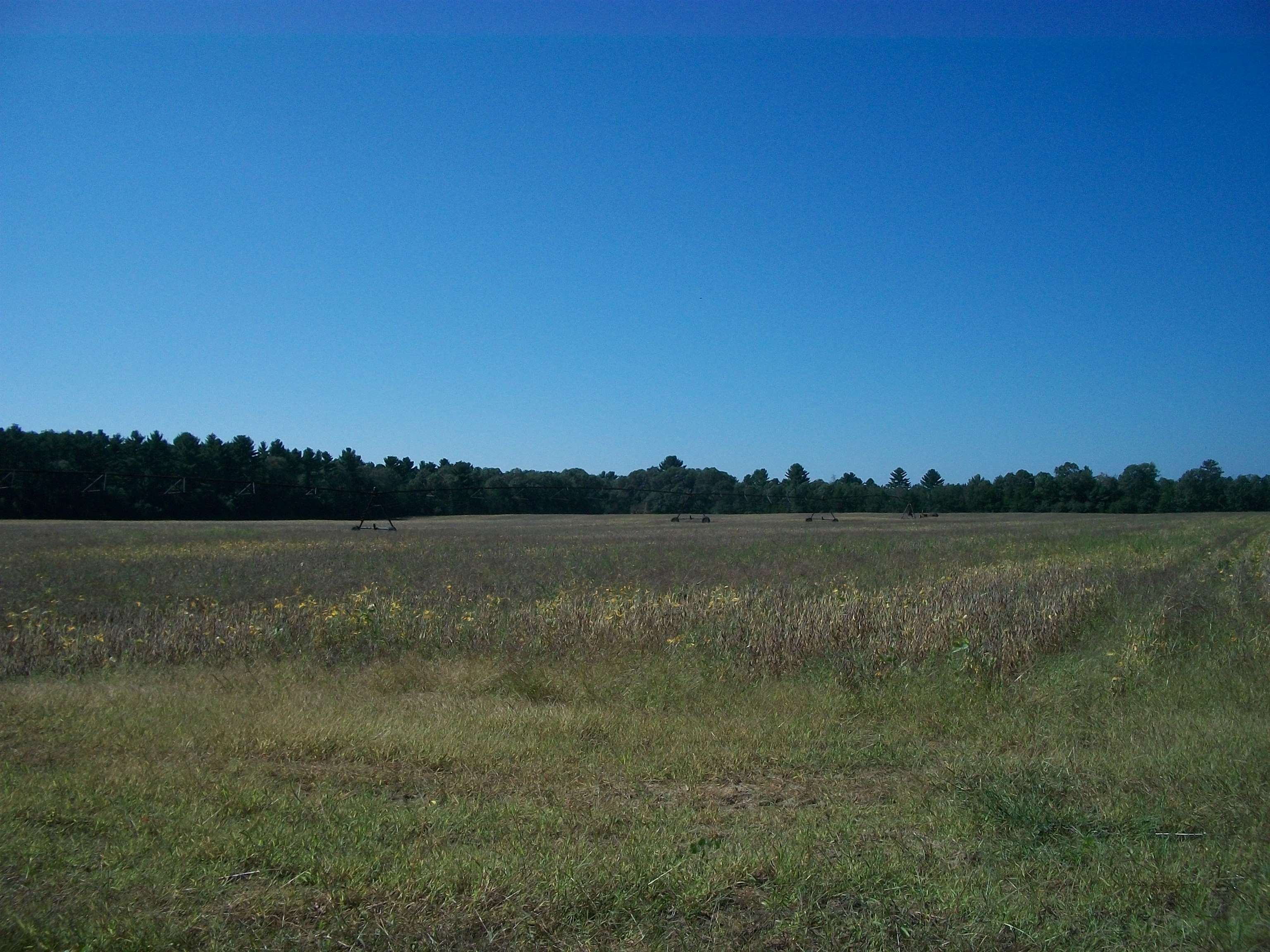 38-acres 18th Street Necedah, WI 54646 - Photo 15 of 22
