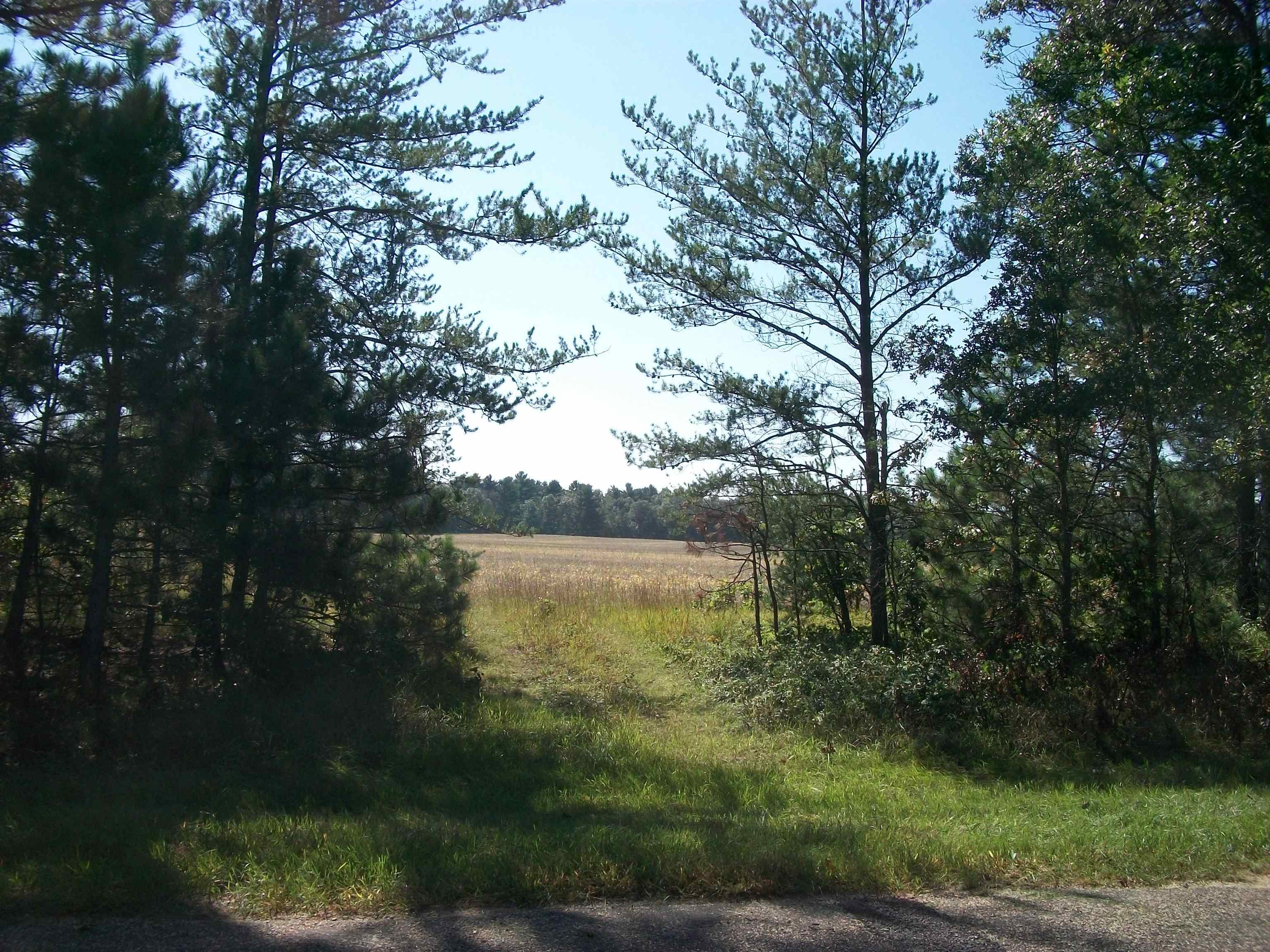 38-acres 18th Street Necedah, WI 54646 - Photo 2 of 22