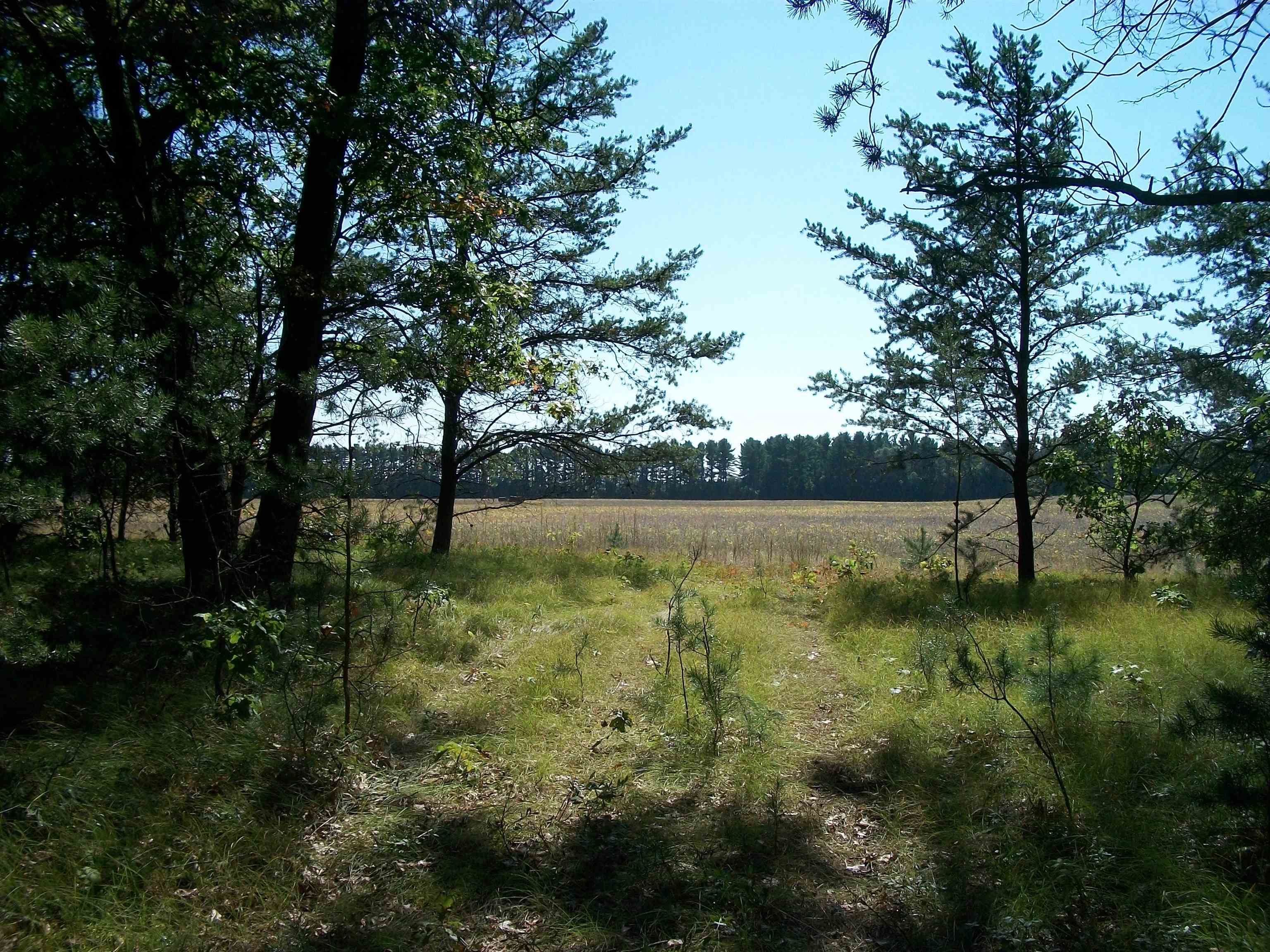 38-acres 18th Street Necedah, WI 54646 - Photo 3 of 22