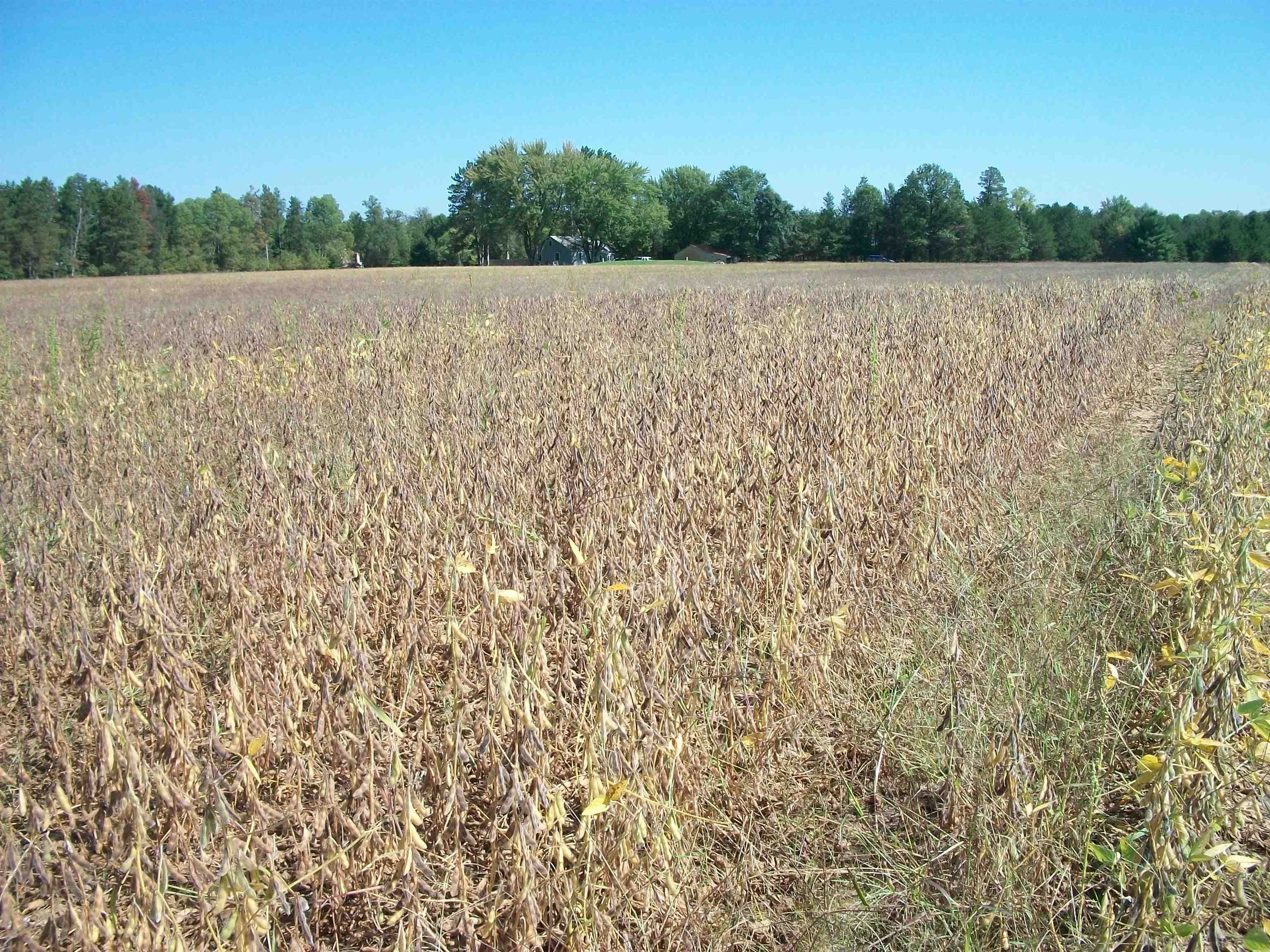 38-acres 18th Street Necedah, WI 54646 - Photo 5 of 22