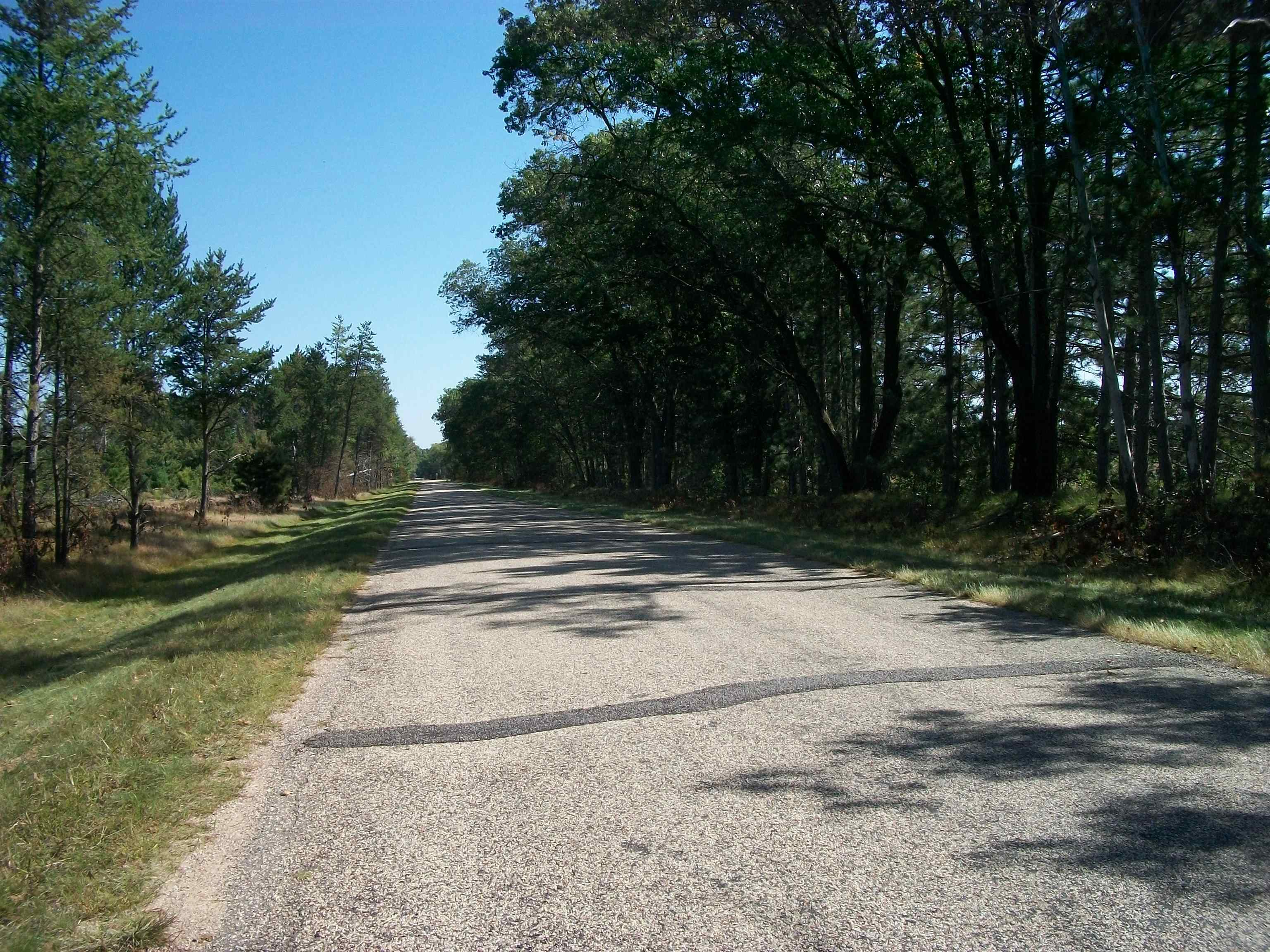 38-acres 18th Street Necedah, WI 54646 - Photo 6 of 22