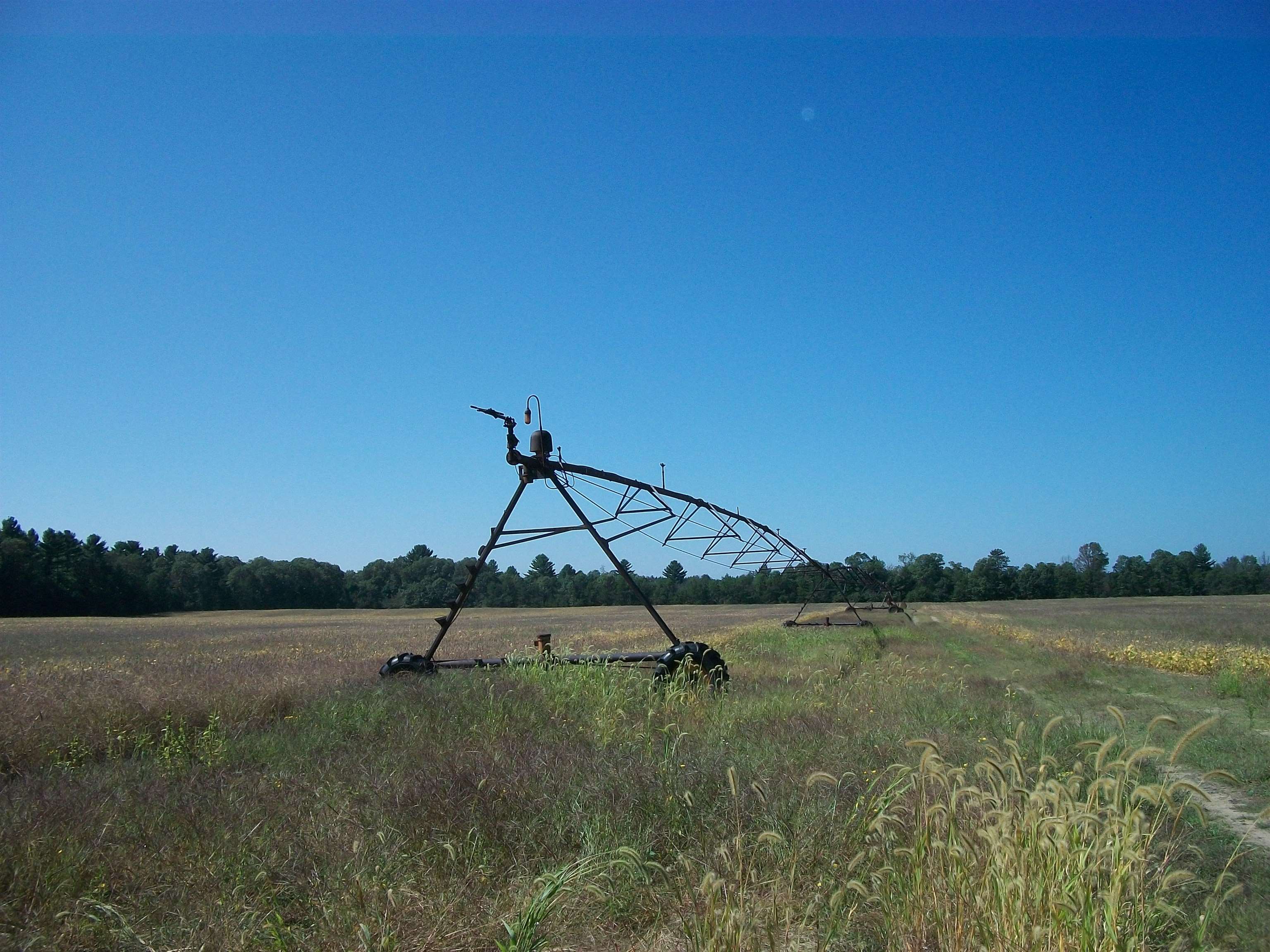 38-acres 18th Street Necedah, WI 54646 - Photo 7 of 22