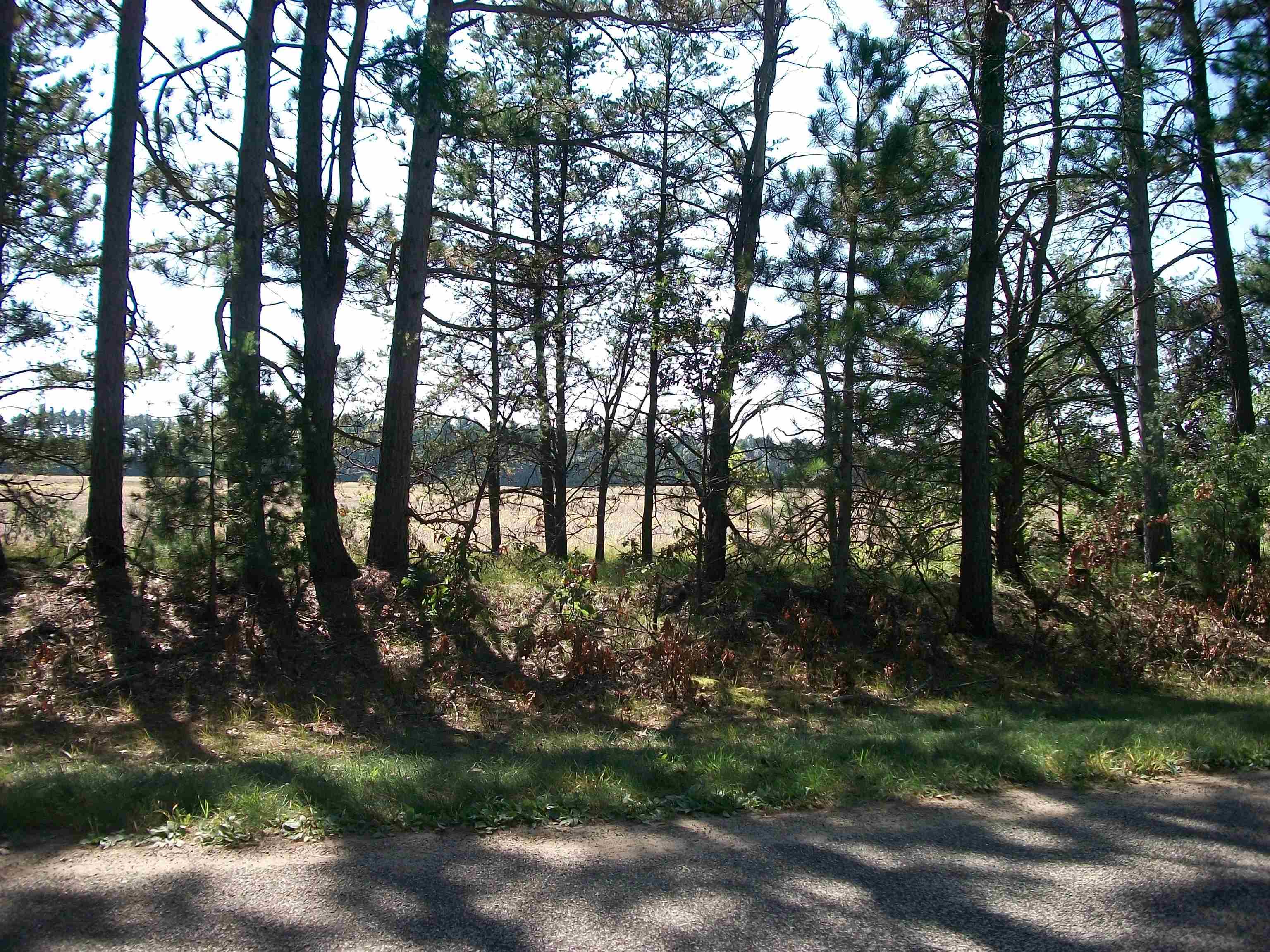 38-acres 18th Street Necedah, WI 54646 - Photo 9 of 22