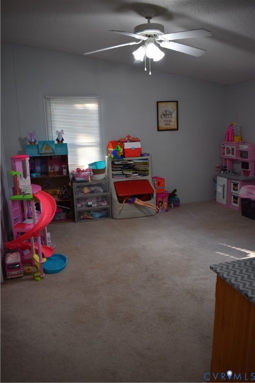 26049 Guy Place Road Courtland, VA 23837 - Photo 20 of 24 Vaulted ceiling room with textured carpet flooring