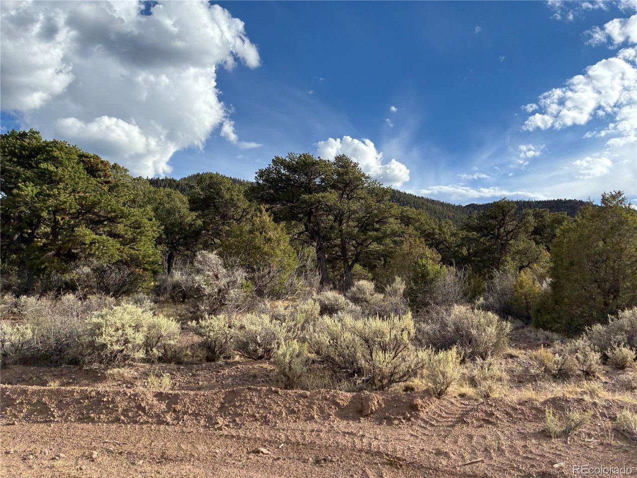5 Kermit Road Fort Garland, CO 81133 - Photo 19 of 21 Gallery Image 19