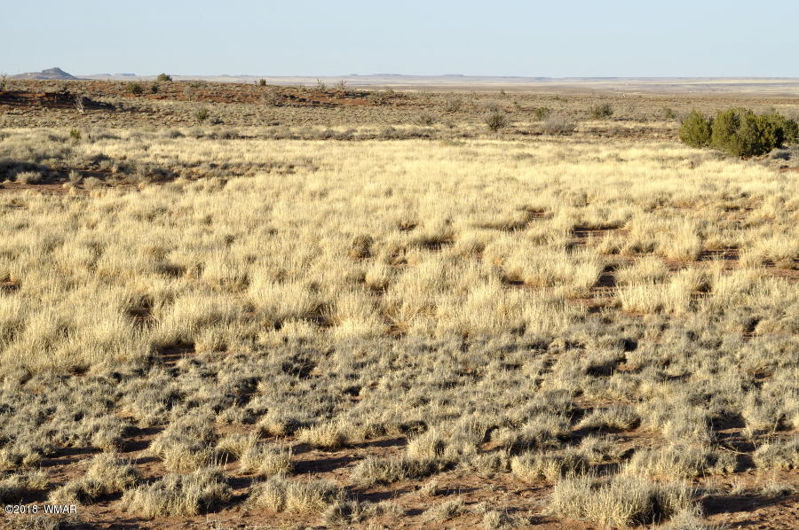 6875 Feedmill Road Snowflake, AZ 85937 - Photo 1 of 28 Gallery Image 1