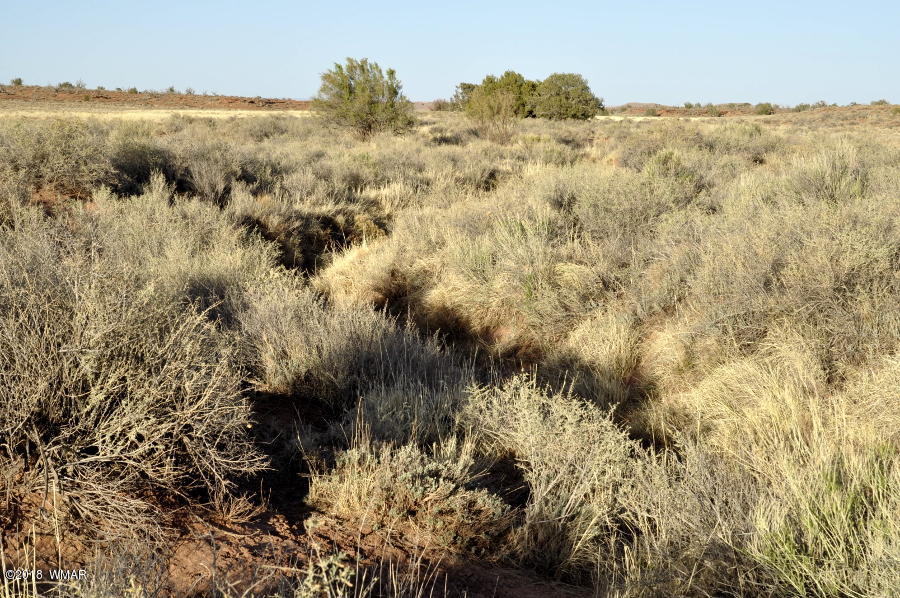 6875 Feedmill Road Snowflake, AZ 85937 - Photo 11 of 28 Gallery Image 11