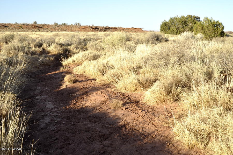 6875 Feedmill Road Snowflake, AZ 85937 - Photo 15 of 28 Gallery Image 15