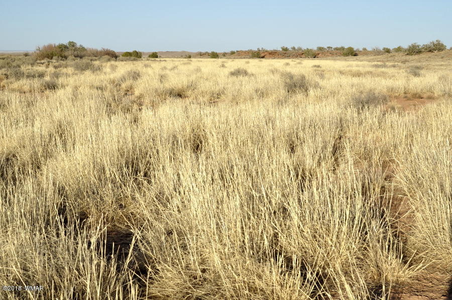 6875 Feedmill Road Snowflake, AZ 85937 - Photo 16 of 28 Gallery Image 16