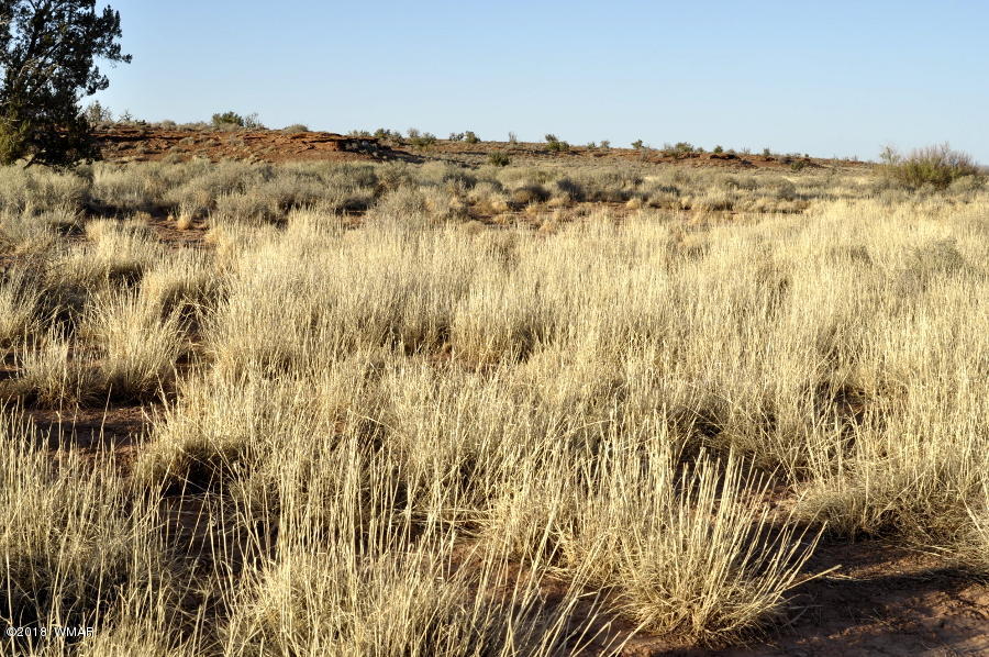 6875 Feedmill Road Snowflake, AZ 85937 - Photo 17 of 28 Gallery Image 17