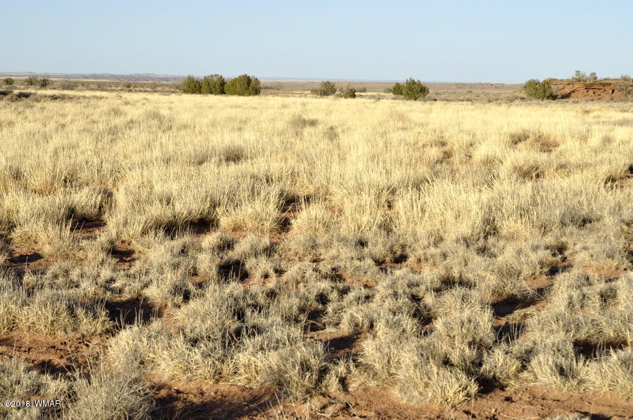 6875 Feedmill Road Snowflake, AZ 85937 - Photo 18 of 28 Gallery Image 18