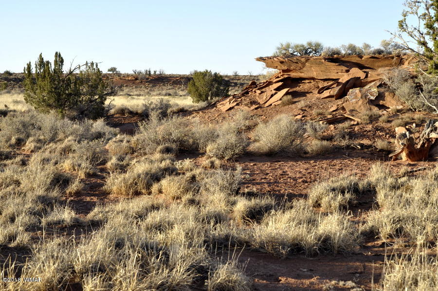 6875 Feedmill Road Snowflake, AZ 85937 - Photo 20 of 28 Gallery Image 20