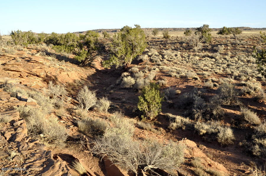 6875 Feedmill Road Snowflake, AZ 85937 - Photo 23 of 28 Gallery Image 23