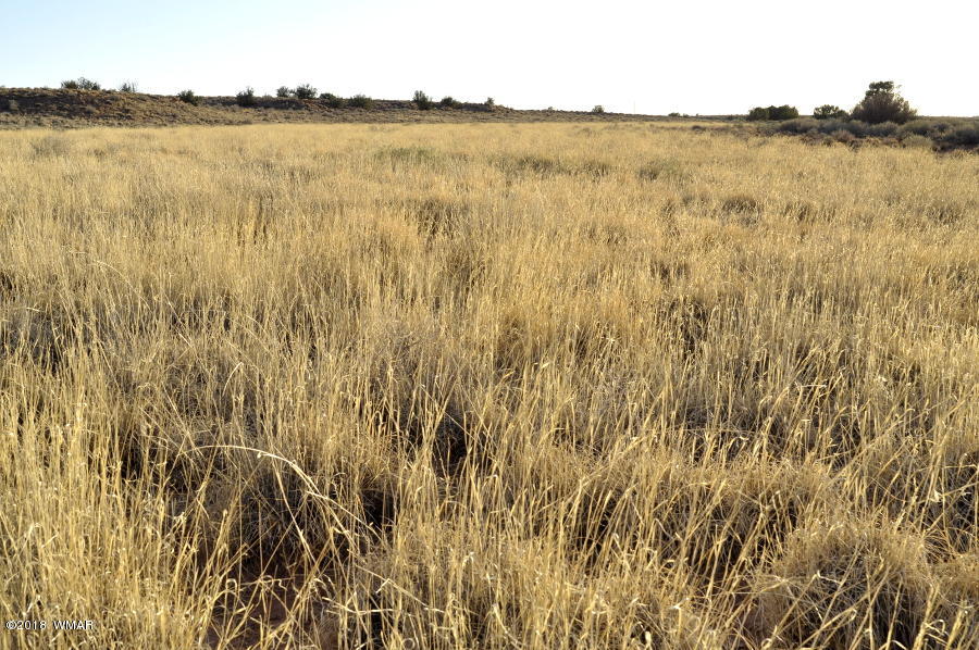 6875 Feedmill Road Snowflake, AZ 85937 - Photo 24 of 28 Gallery Image 24