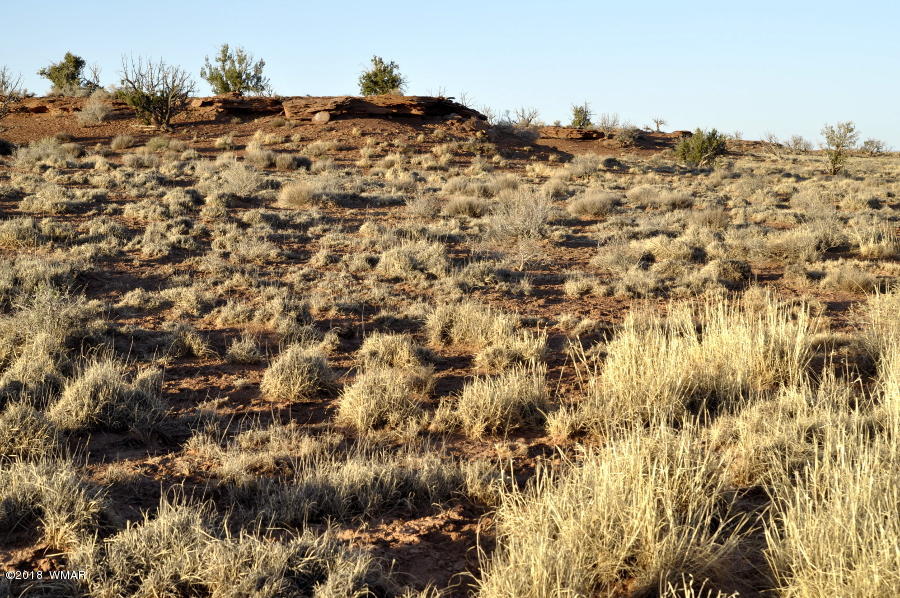 6875 Feedmill Road Snowflake, AZ 85937 - Photo 26 of 28 Gallery Image 26