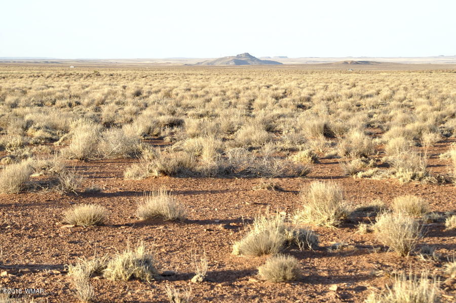 6875 Feedmill Road Snowflake, AZ 85937 - Photo 27 of 28 Gallery Image 27