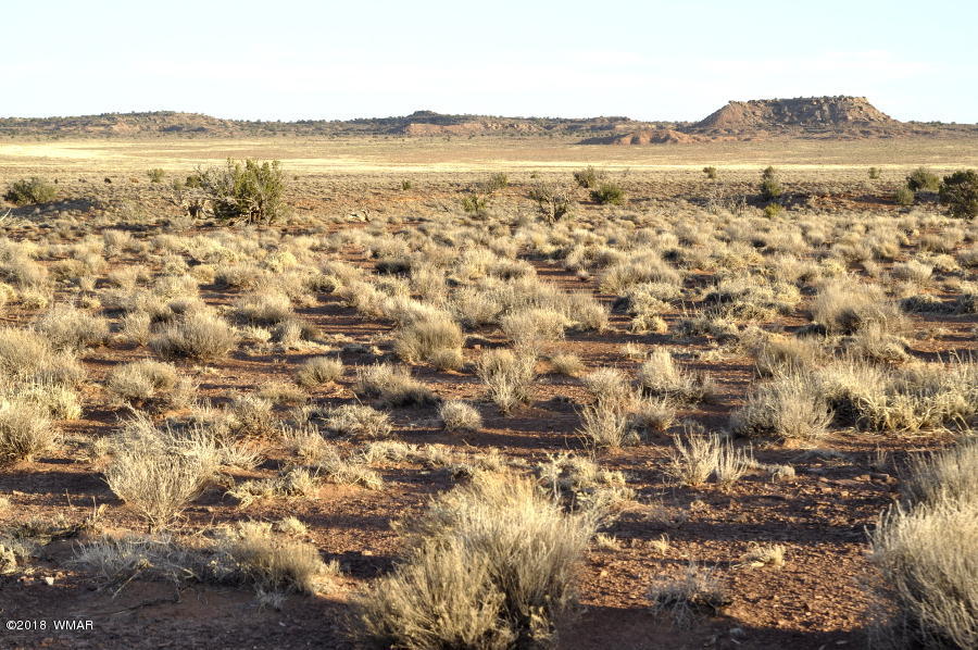 6875 Feedmill Road Snowflake, AZ 85937 - Photo 28 of 28 Gallery Image 28