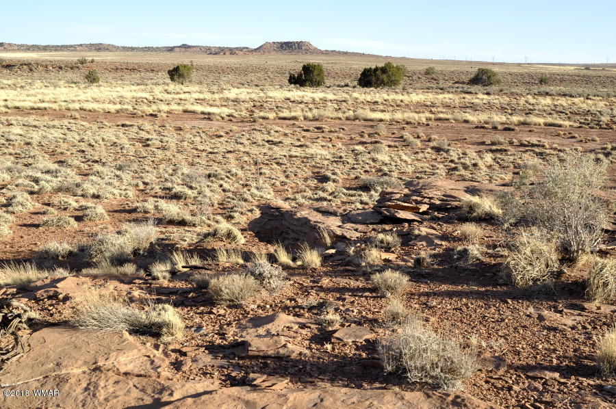 6875 Feedmill Road Snowflake, AZ 85937 - Photo 7 of 28 Gallery Image 7