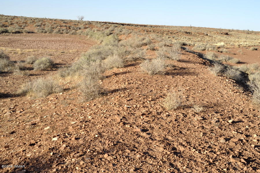 6875 Feedmill Road Snowflake, AZ 85937 - Photo 9 of 28 Gallery Image 9