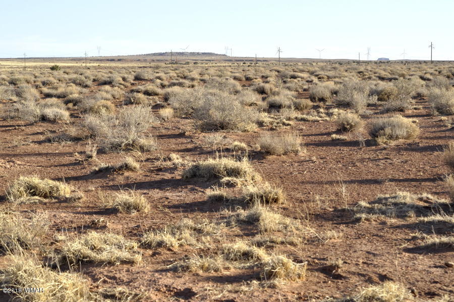 6875 Feedmill Road Snowflake, AZ 85937 - Photo 10 of 28 Gallery Image 10