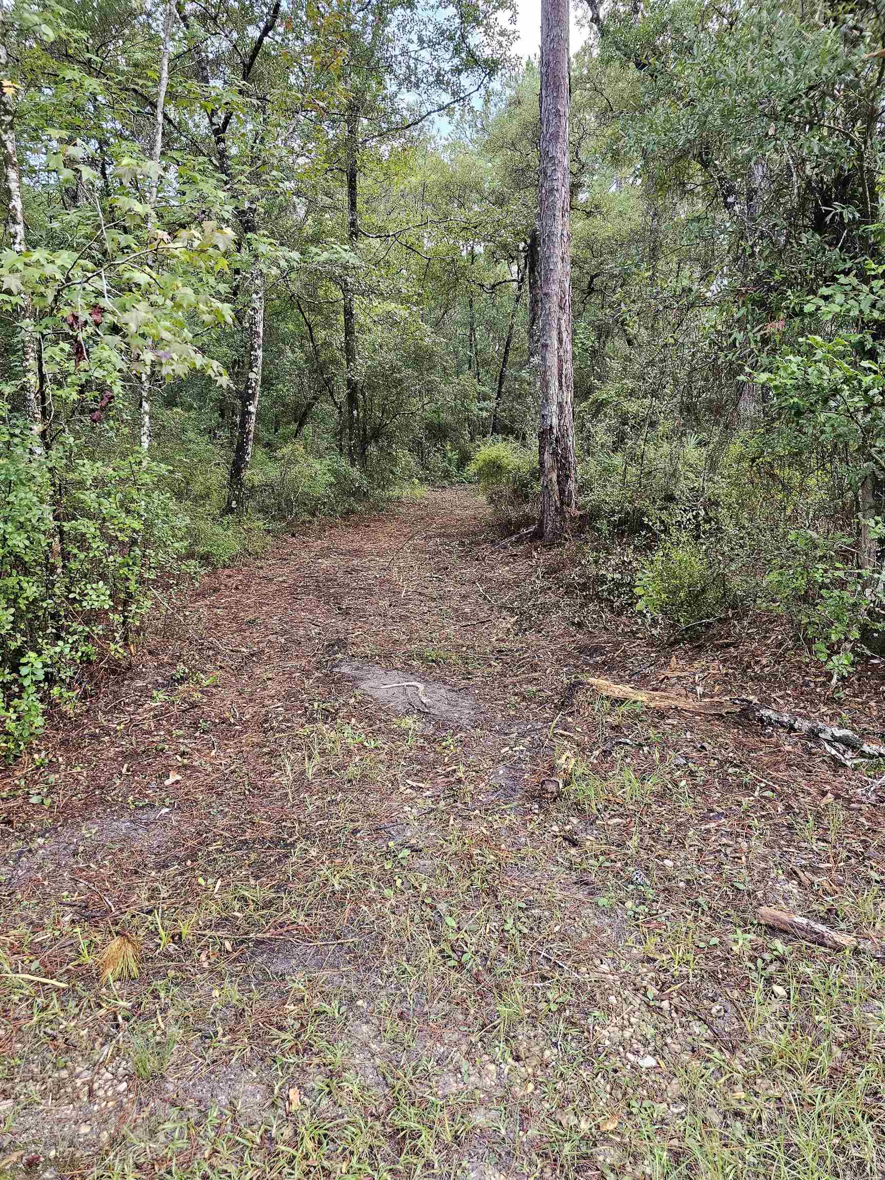 Xxx Pamela Place Unit Lot 20