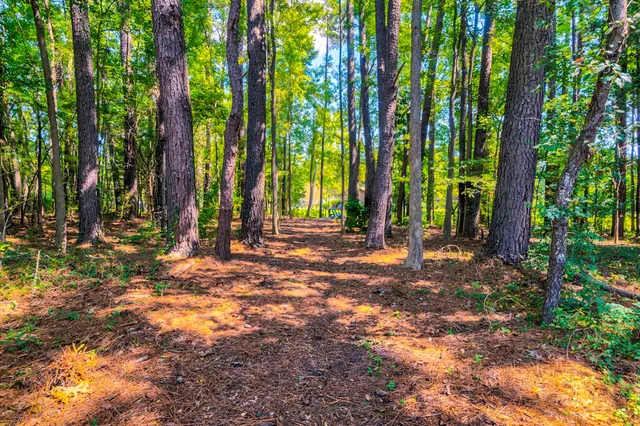 $995,500 | 141 Meredith Drive, Eutawville, SC 29048