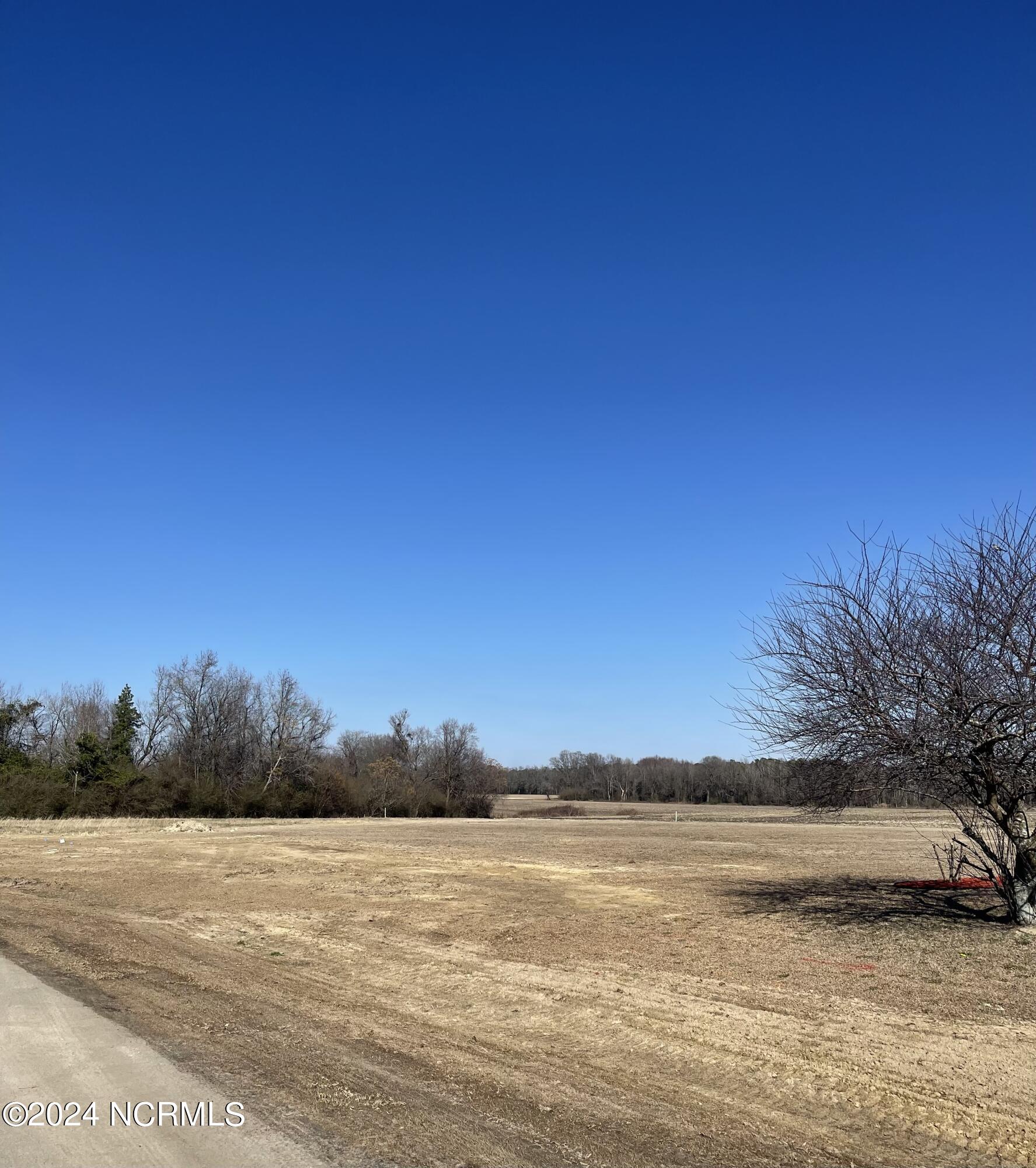 9 Aspen Ridge Court Deep Run, NC 28525 - Photo 4 of 4 IMG_5986