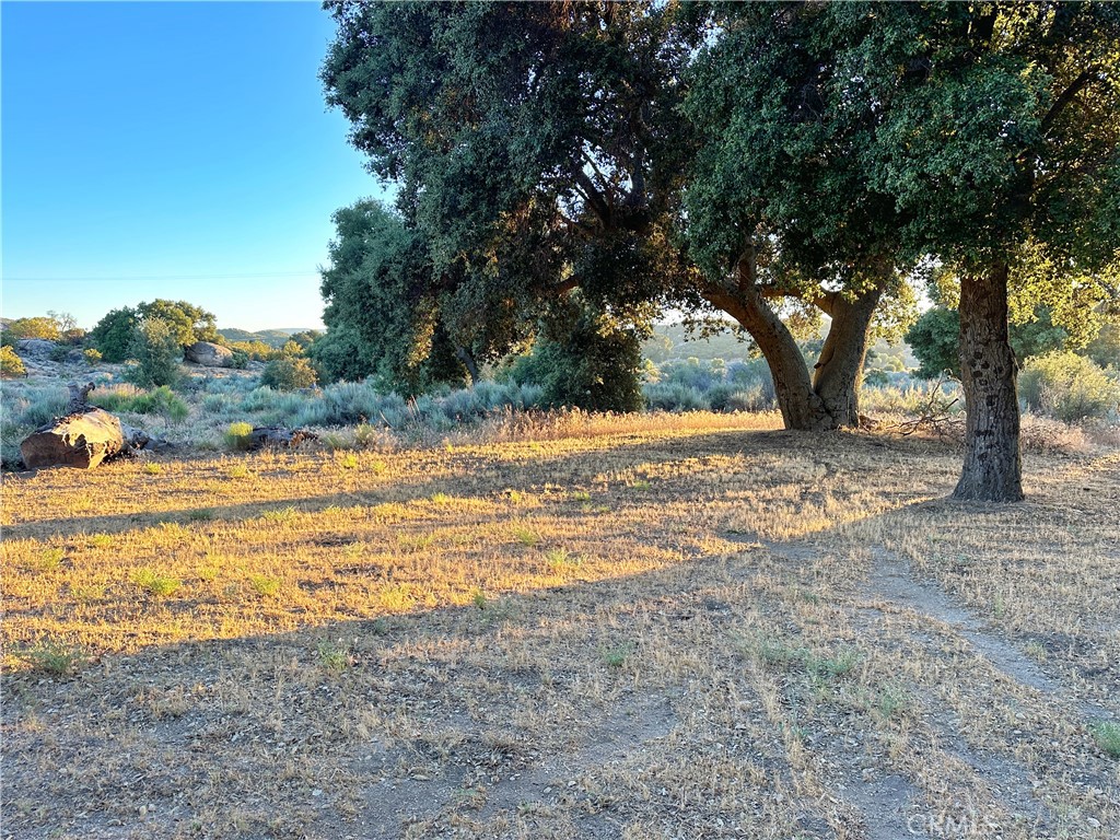 29820 Chihuahua Valley Road Warner Springs, CA 92086 - Photo 19 of 75 a view of a yard with an outdoor space