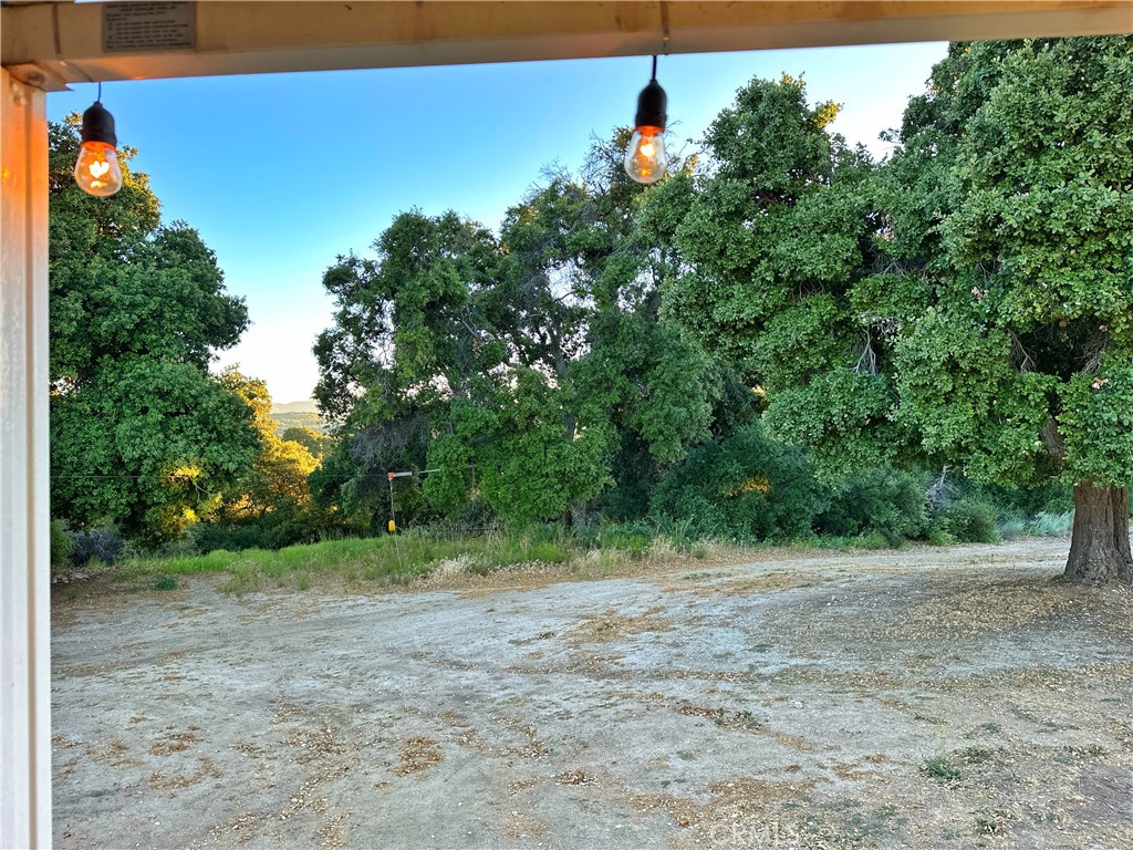 29820 Chihuahua Valley Road Warner Springs, CA 92086 - Photo 52 of 75 a view of a field with a tree