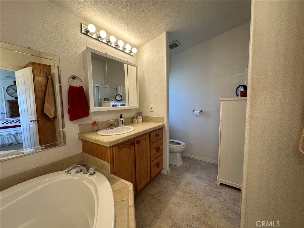 29820 Chihuahua Valley Road Warner Springs, CA 92086 - Photo 60 of 75 a view of a bathroom with a sink and mirror with toilet