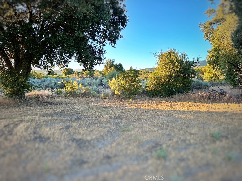 29820 Chihuahua Valley Road Warner Springs, CA 92086 - Photo 64 of 75